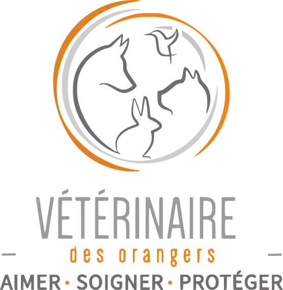  Clinique vétérinaire des Orangers - Le Cannet